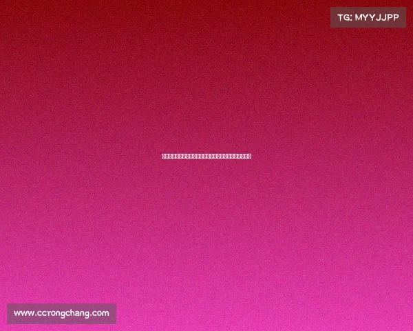 首届国际踢拳规则锦标赛：顶尖高手激情对决巅峰荣耀之战